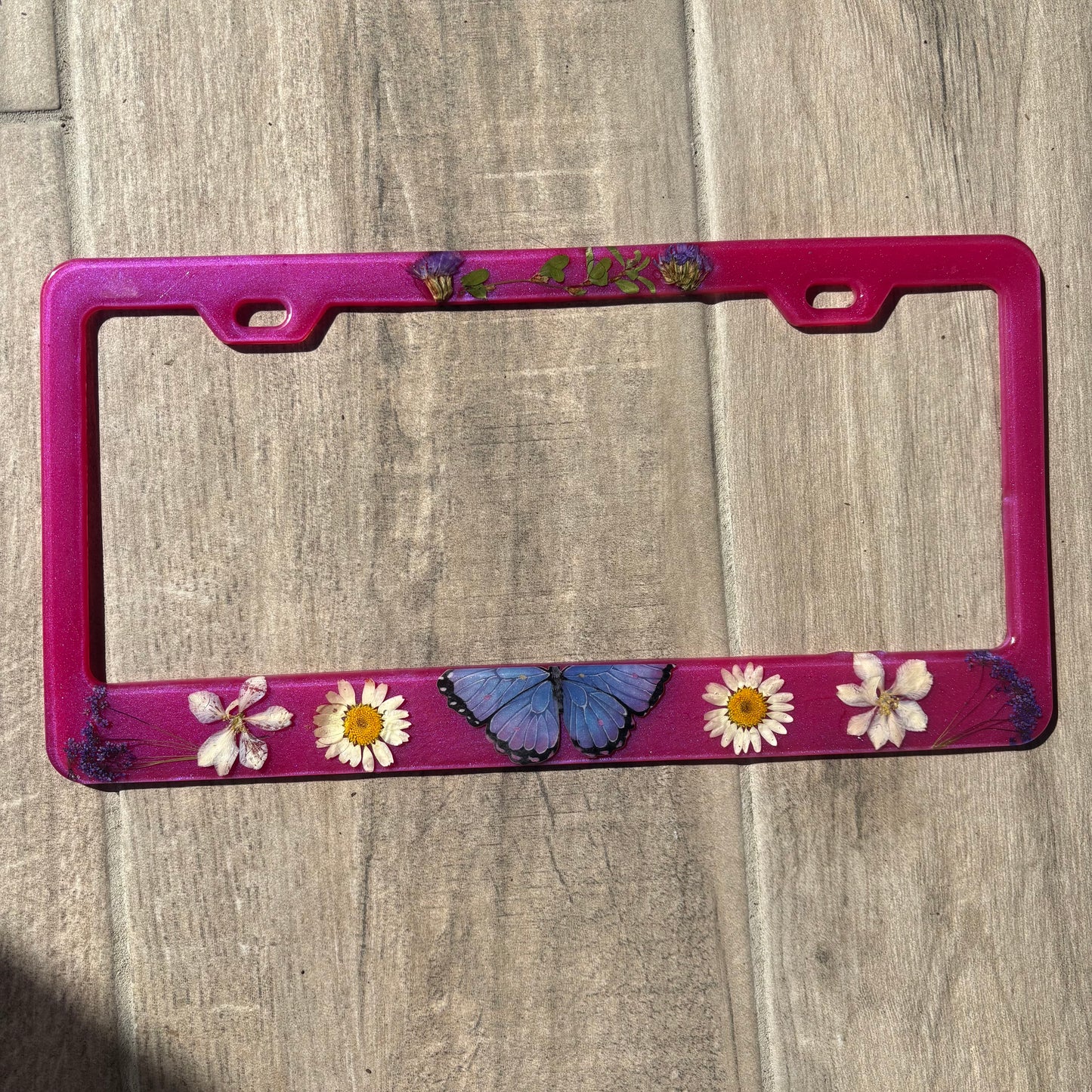 License frame