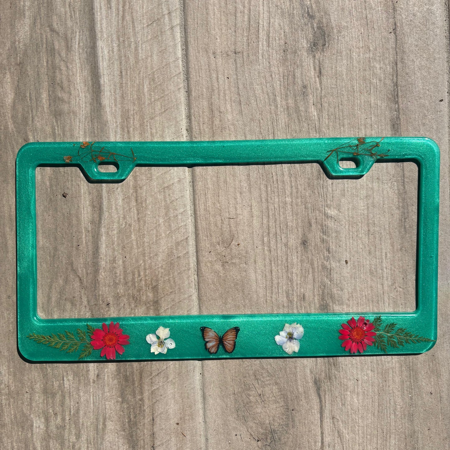 License frame
