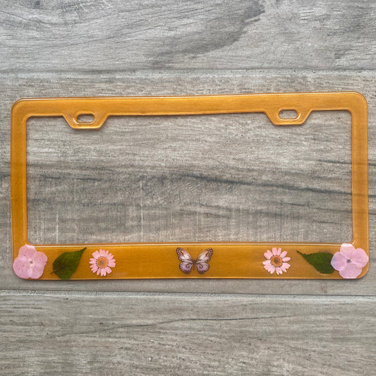 License frame