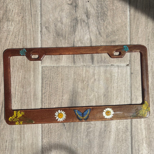 License frame