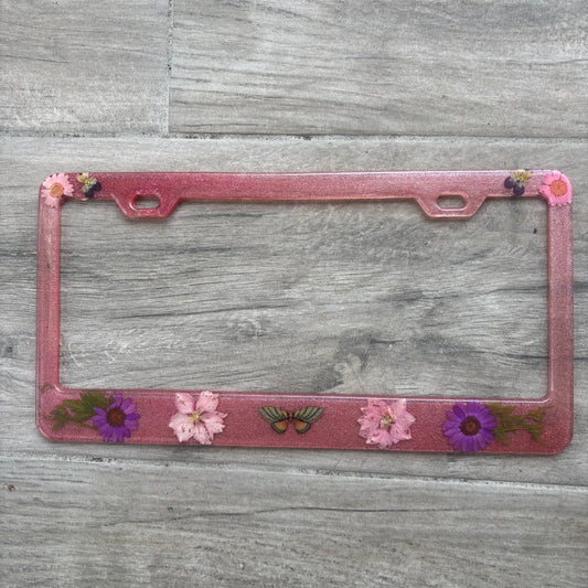 License frame