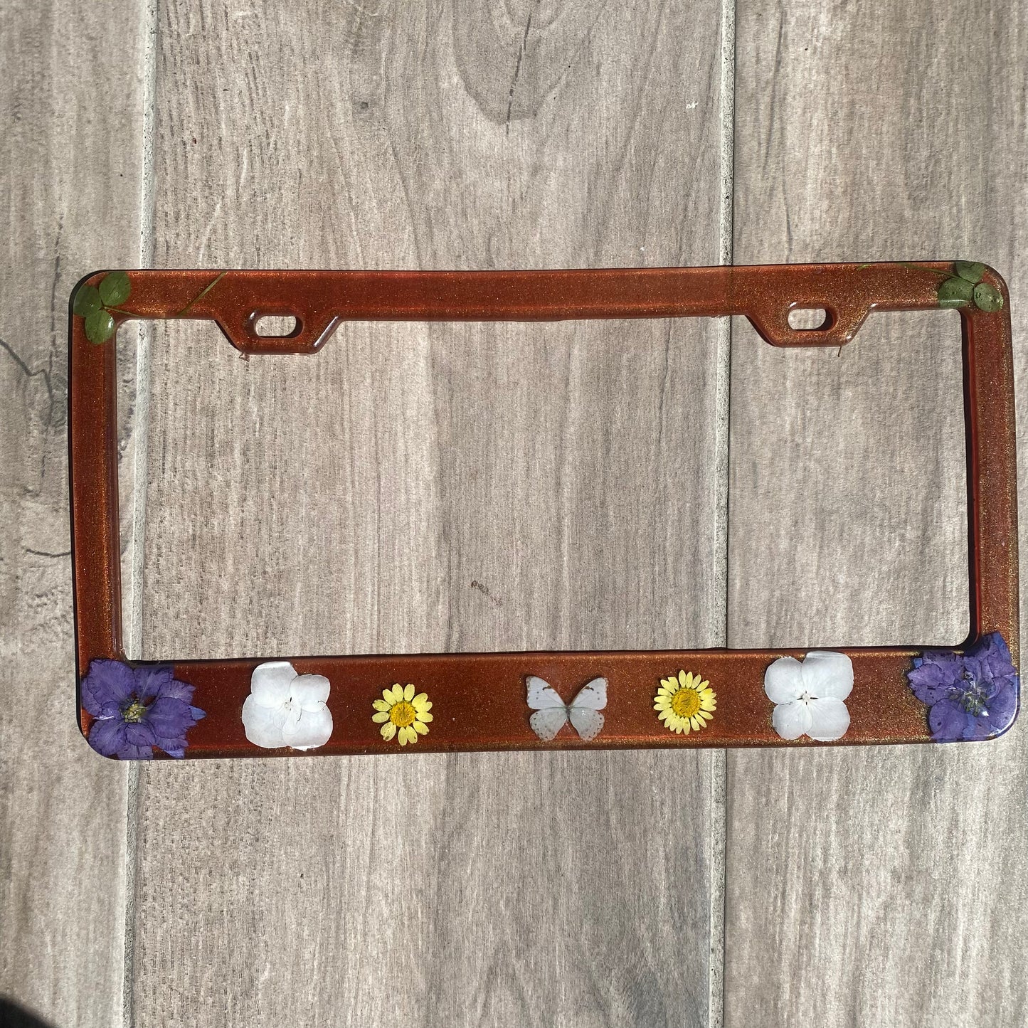 License frame