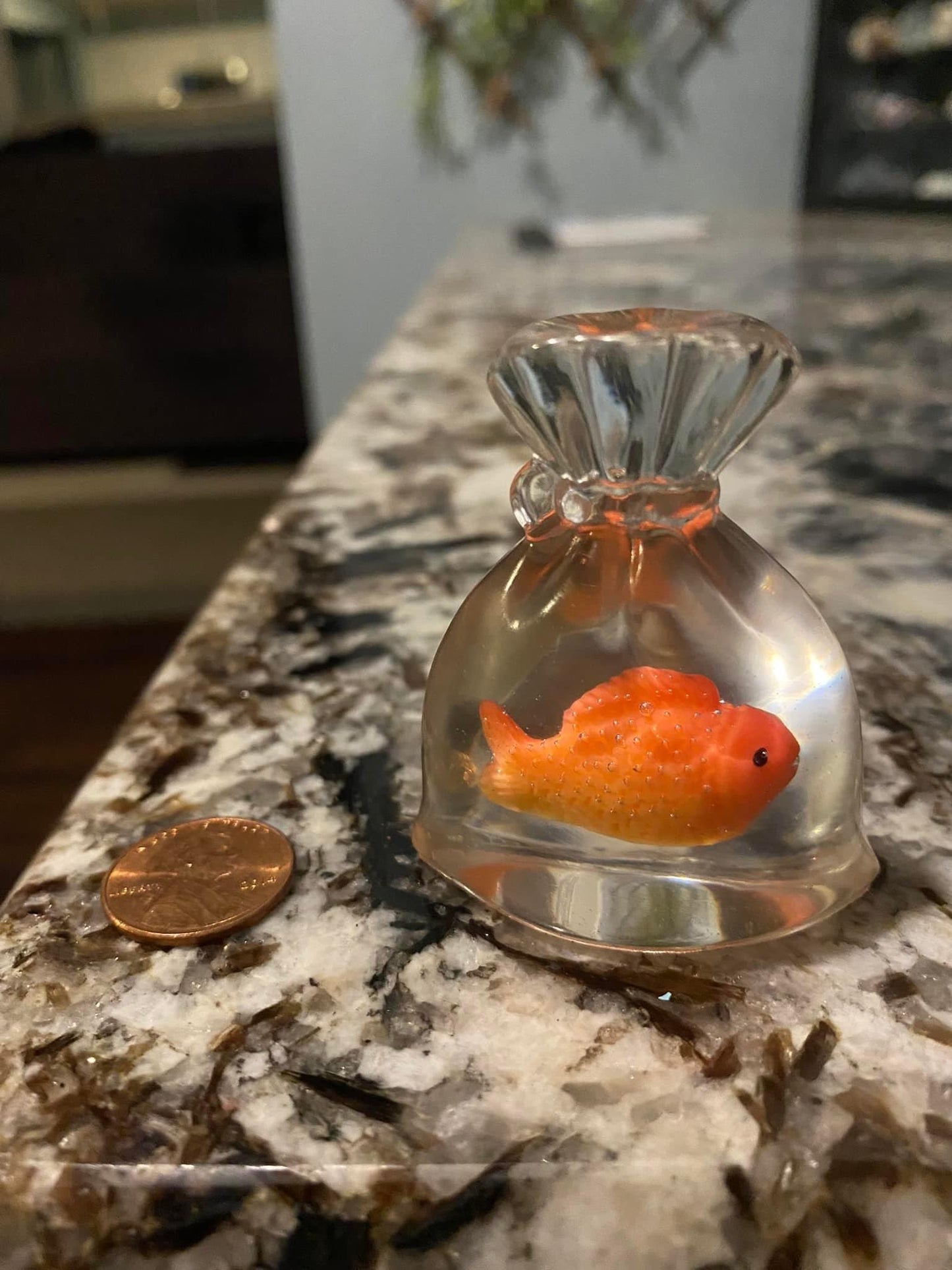 Goldfish bag